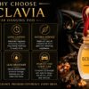 eclavia-black-musk-car-hanging-pod-perfume-img-9